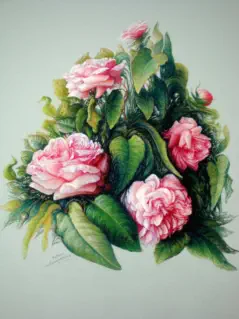Au nom de la rose - pastel sec Marie Claire COUQUEBERG - MARICOUQ
