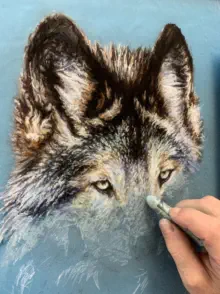 Le loup - Pastel MARICOUQ