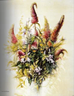 Budleias - pastel sec Marie Claire COUQUEBERG - MARICOUQ